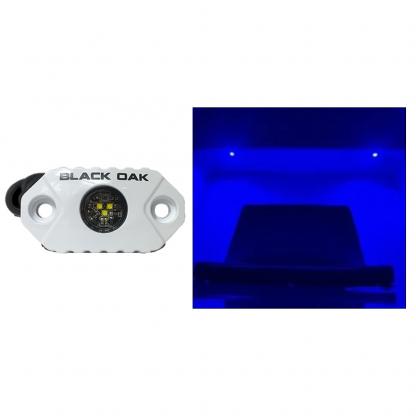 Black Oak Rock Accent Light - Blue LEDs - White Housing
