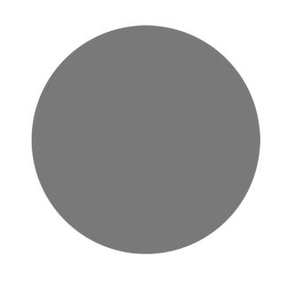 RUPES WETFINISH Foam Abrasive Discs 150MM (6") P3000 Grit - Grey *Box of 20pcs