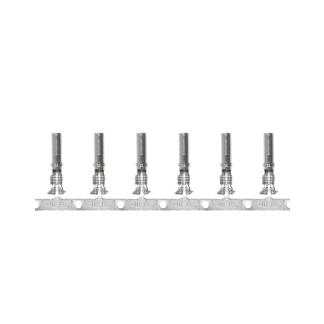 Pacer DTP Deutsch Socket f/10 AWG Wire - Size 12 Contact (25 Pack)