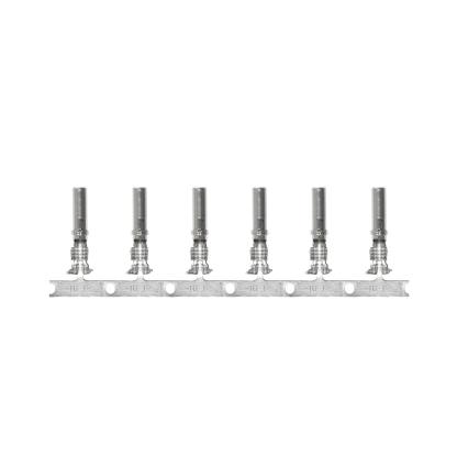 Pacer DTP Deutsch Socket f/10 AWG Wire - Size 12 Contact (25 Pack)